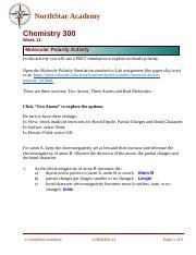 Chem Molecular Polarity Activity Docx Northstar Academy