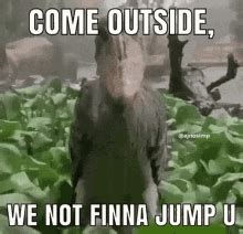 Shoebill Rain GIF - Shoebill Rain Meme - Discover & Share GIFs