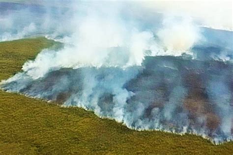 Fiscalía pide juicio oral para tres imputados por incendios en