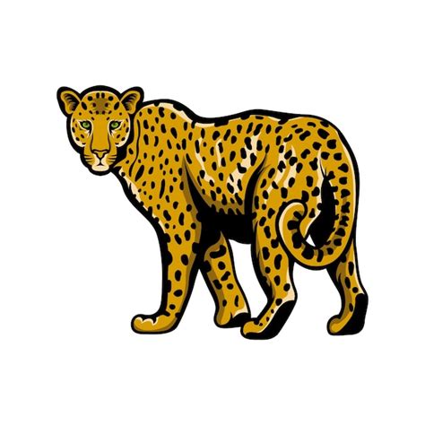 Premium Vector Leopard Vector Design Mascot Logo Illustration Emblem Isolated