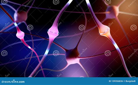 A Synapse, Part Of A Neuron Or Nerve Cell Royalty-Free Illustration ...