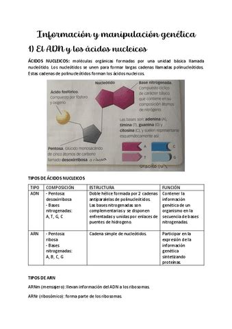 Informacion Y Manipulacion Genetica Pdf