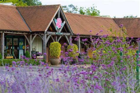 Garden Centre Titchfield Stewarts Garden Centre