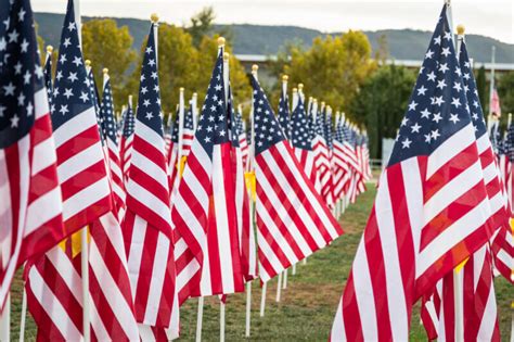 Veterans Day Parades Williamson Source