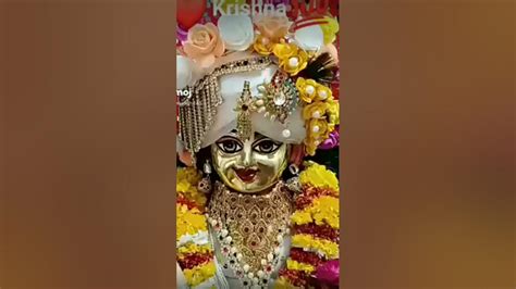 Radhe Krishna Hare Hare Youtube