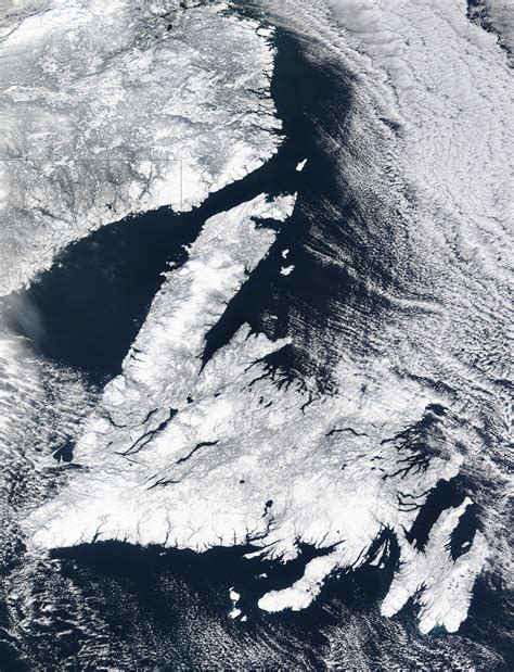 Newfoundland - Full size | Gifex