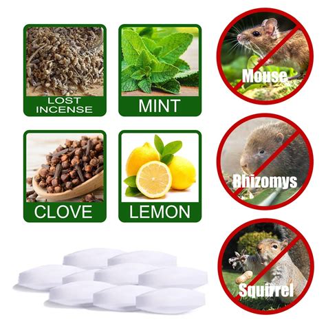 LINMOUA Get Rid Of Mice Permanently Keep Mice Out For House Peppermint