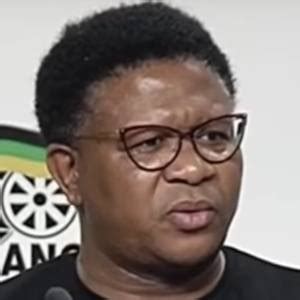 Fikile April Mbalula Net Worth