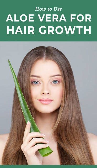 How To Use Aloe Vera For Hair Growth Nannie Welch Medium