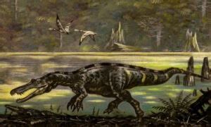 how to pronounce baryonyx