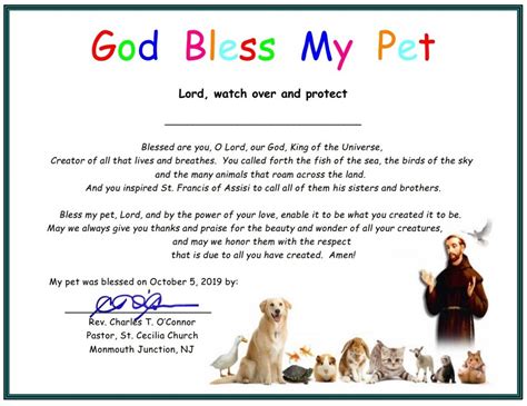 2019 Blessing Of Pets In Honor Of The Feast Of St Francis Of Assisi