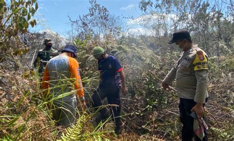 Karhutla 1 6 Hektare Di Penajam Paser Utara Padam Okezone Nasional