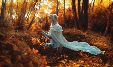 Fondos De Pantalla Luz De Sol Bosque Mujer Rubia Naturaleza Vestido Blanco Mañana árbol