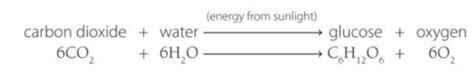 C13 Earth S Atmosphere Flashcards Quizlet