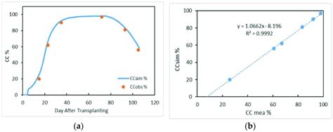 Simulated And Measured Canopy Cover In 2018 A CC 2018 B Linear