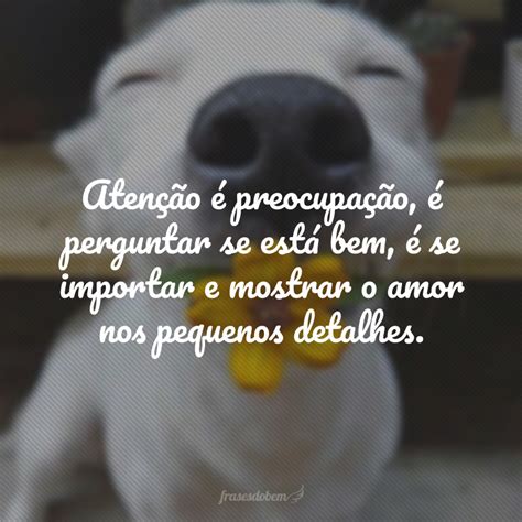 Frases De Atenção E Carinho - 50 frases de atenção para retribuir o carinho que você recebe