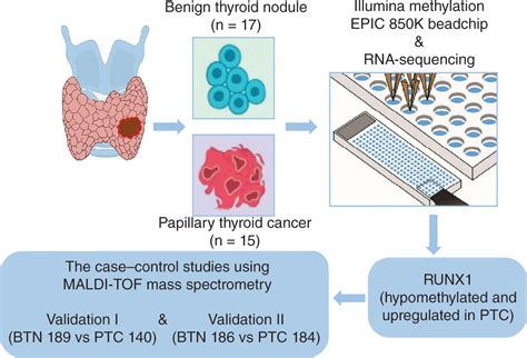 Runx Methylation As A Cancer Biomarker In Differentiating Papillary