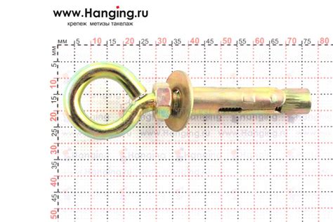 Анкерный болт с кольцом М6/8х45. Анкер для лесов М6/8х45, троса, цепи ...