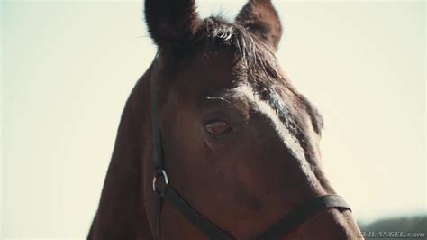 Misha Cross Anal Porntrex Best HD And K Porn