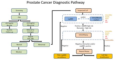 Ijms Free Full Text Biomarkers Of Aggressive Prostate Cancer At