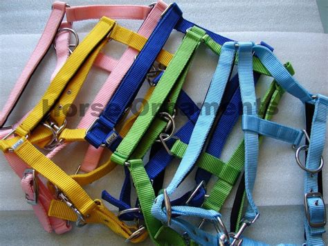 Nylon Peach Cotton Lunging Horse Reins 14 Inch At ₹ 150piece In