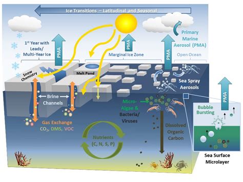 Arctic Air Surface Interactions Grannas Environmental Chemistry Research Group