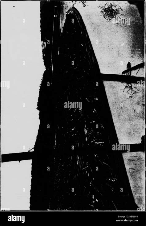 es  black  white stock  images alamy