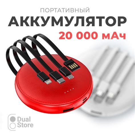 Внешний аккумулятор (Power Bank) Dual Store круглый купить c доставкой ...