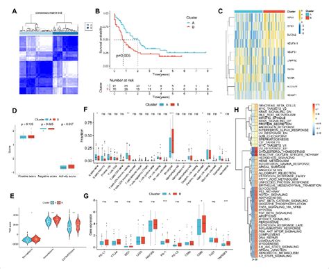 Figure 4 From Development And Validation Of A Disulfidptosis Related