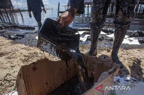 Pantai Melayu Batam Tercemar Limbah Minyak Hitam Antara News