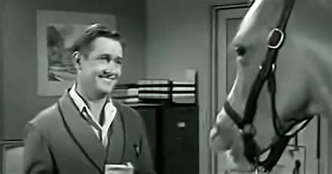 Mr Ed’s argument about inheritance creates tears of laughter 50+ years ...