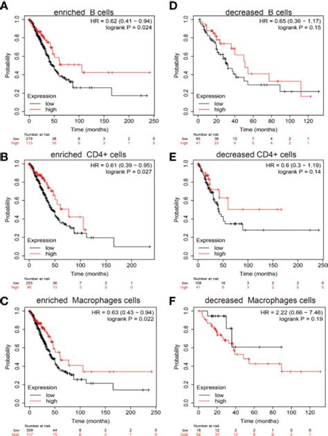 Identification And Validation Prognostic Impact Of Mirna 30a 5p In Lung