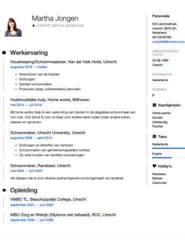 Voorbeeld Tekst Cv Profiel Sollicitatiebrief En Cv Web