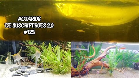 ACUARIOS DE SUSCRIPTORES 2 0 123 Arowana Pez GoldFish Pez Betta