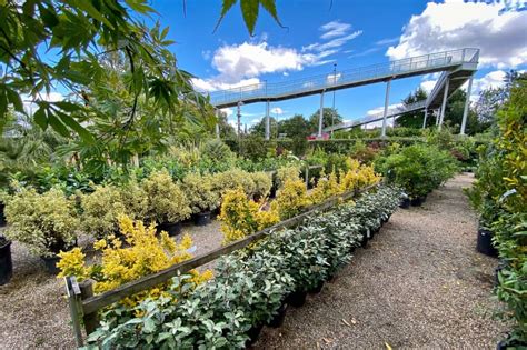 Best For Plants And Trees In Berkshire Muddy Loves The Big Plant