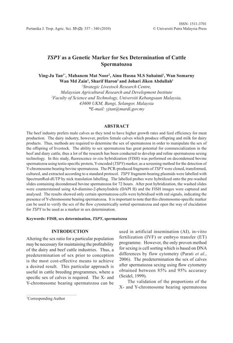 PDF TSPY As A Genetic Marker For Sex Determination Of Cattle Spermatozoa