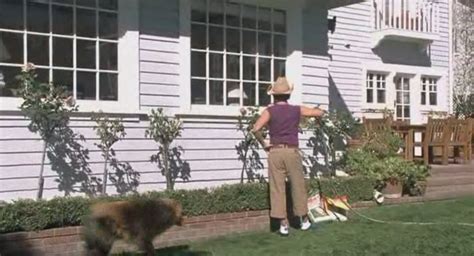 Rob Schneider In The Hot Chick Rob Schneider Image Fanpop