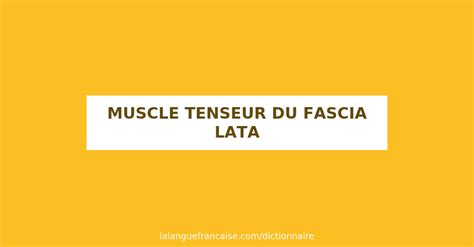 Définition de muscle tenseur du fascia lata Dictionnaire français