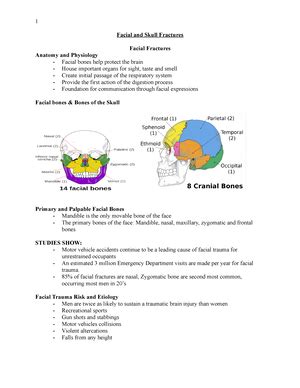 Bisc Cardiovascular System Notes Test Two Blood Liquid Connective