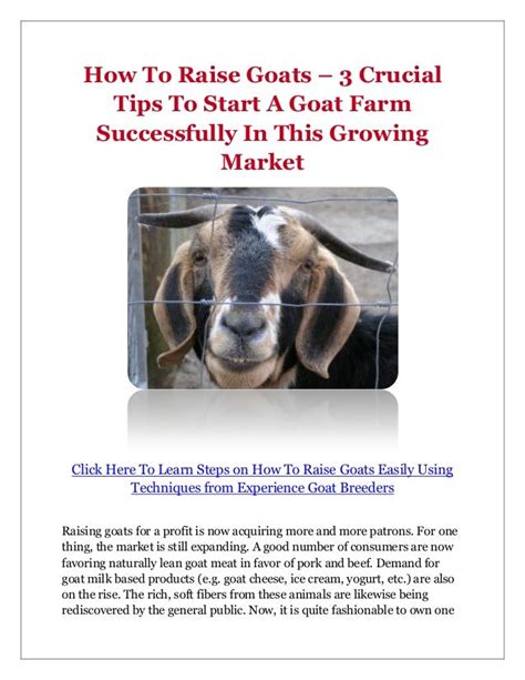 How To Raise Goats 3 Crucial Tips To Start A Goat Farm Successfully