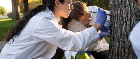 major completion maps  hub