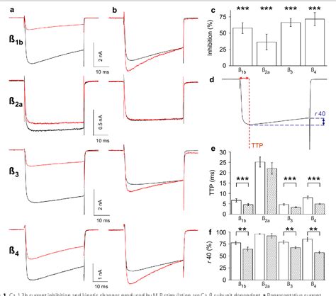 Figure 1 From Modulation Of CaV1 3b L Type Calcium Channels By M1