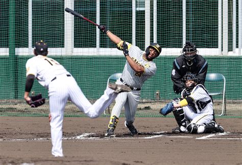 阪神藤浪晋太郎 佐藤輝明に被弾も2回1失点 スローカーブで三振奪う新たな一面 プロ野球写真ニュース 日刊スポーツ