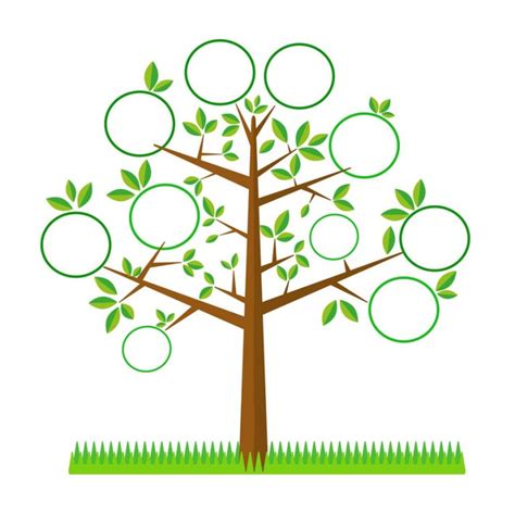 Khung hình treo cây trang trí kỷ niệm vinh danh. Vector #27 - Vector6.com