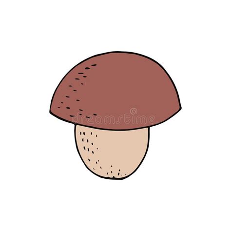 Boletus Mushroom Hand Drawn In Doodle Style Single Element For Design