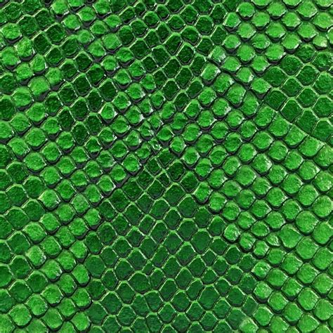 Textura De Pele De Cobra Verde Superf Cie De Escamas De R Pteis E