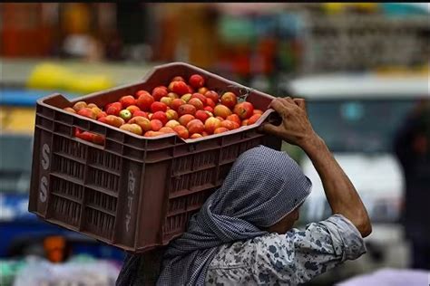 Tomato Prices The Price Of Tomato Has Done Wonders This Indian Farmer