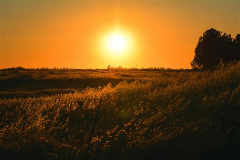 Grass Field During Sunset · Free Stock Photo