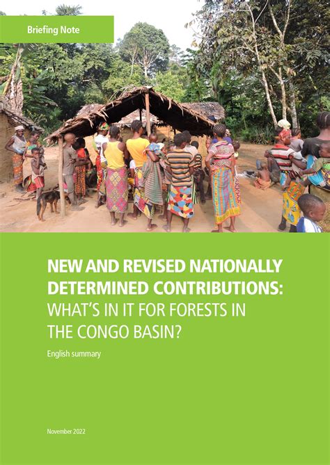 COP27: Congo Basin countries must increase ambition to protect the