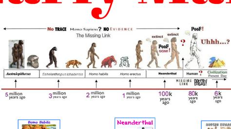 homo sapiens neanderthalensis timeline